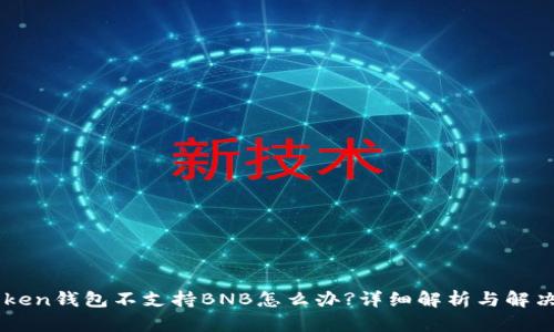 imToken钱包不支持BNB怎么办?详细解析与解决指南