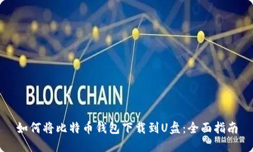 如何将比特币钱包下载到U盘：全面指南