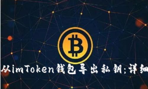如何从imToken钱包导出私钥：详细指南