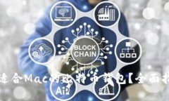 如何选择适合Mac的比特币